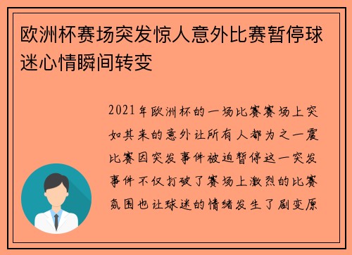 欧洲杯赛场突发惊人意外比赛暂停球迷心情瞬间转变